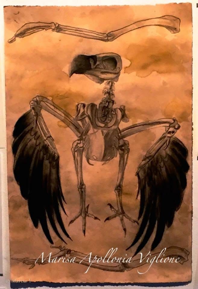 Drawing of an upright bird-of-prey skeleton whose bony wings end in black feathers, on a cloudy sepia ground.