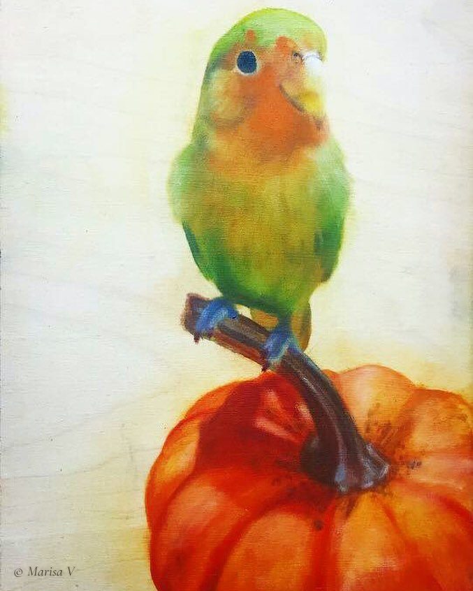 Painting of a small green and peach parrot perched on an orange pumpkin, on a pale wood panel.