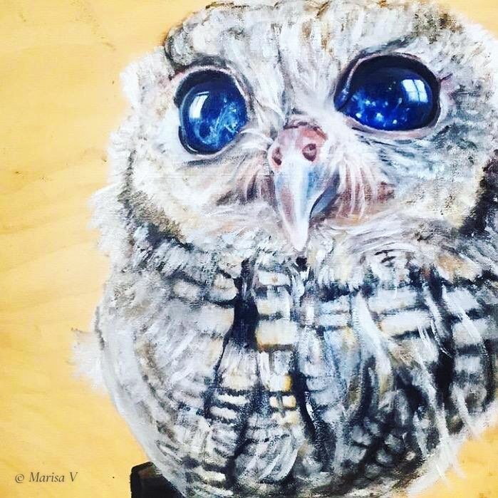 Painting of a small grey and white owl with large, shining midnight-blue eyes, on a pale wood panel.